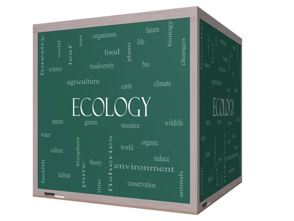 Ecology Word Cloud Concept on a 3D Blackboard — Stock Photo, Image