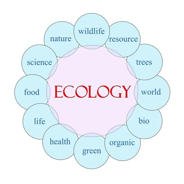 Ekoloji dairesel kelime kavram生态循环词概念 — Stok fotoğraf