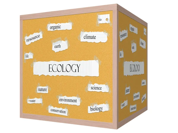 Conceito de palavra Ecologia 3D Corkboard — Fotografia de Stock