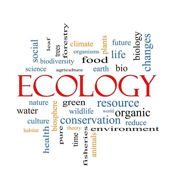 Ecologie woord wolk concept — Stockfoto