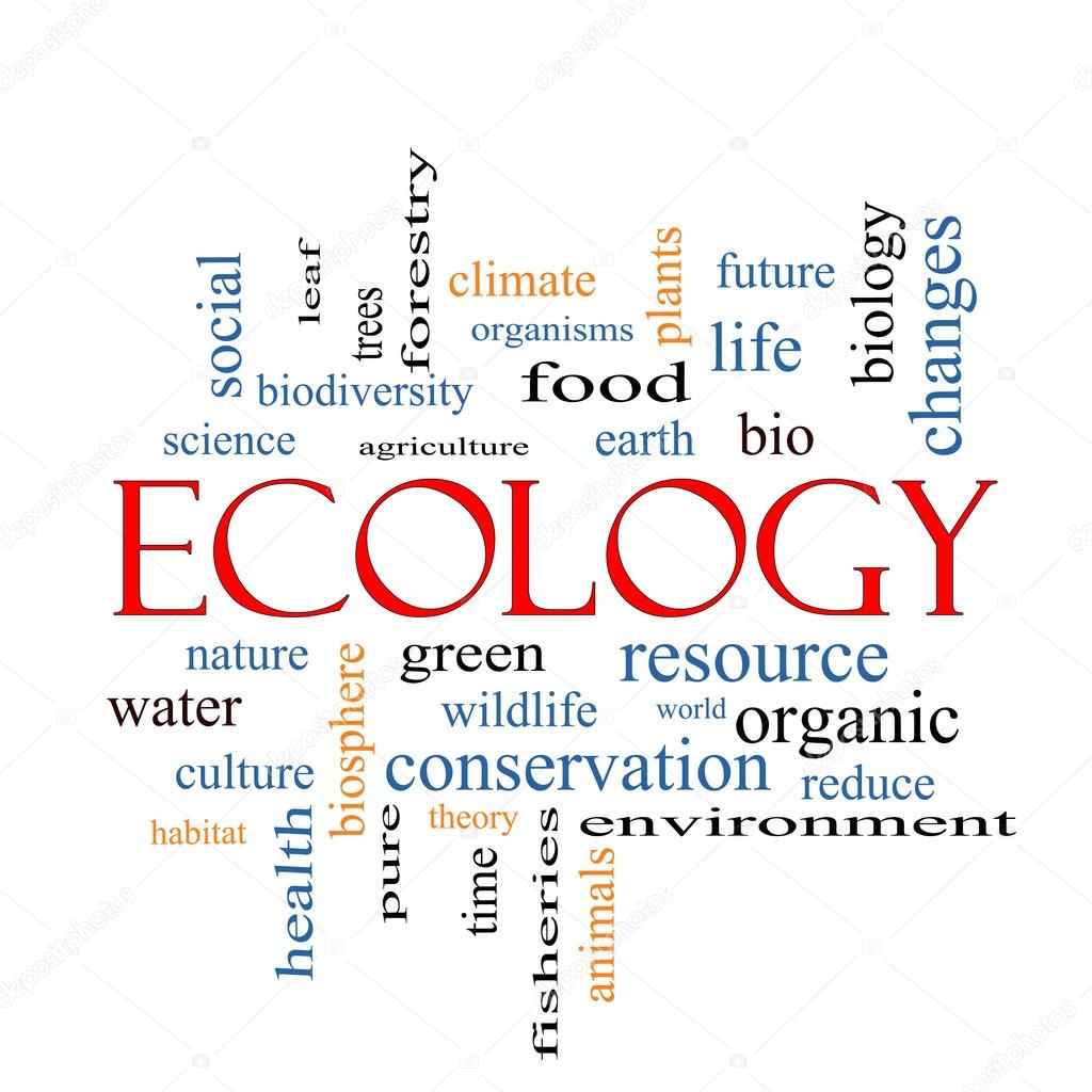 Ecology Word Cloud Concept 