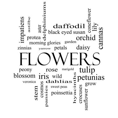 siyah beyaz çiçekler word cloud kavramı