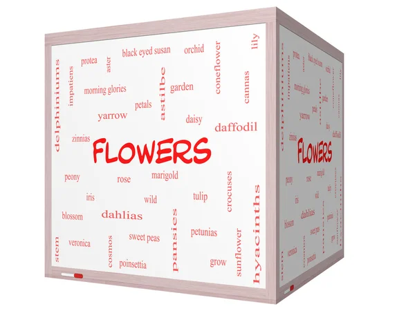 Fleurs Word Cloud Concept sur un tableau blanc cube 3D — Photo