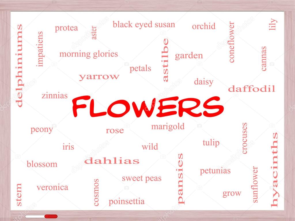 Flowers Word Cloud Concept on a Whiteboard