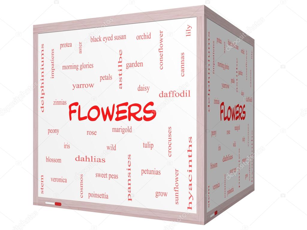 Flowers Word Cloud Concept on a 3D cube Whiteboard