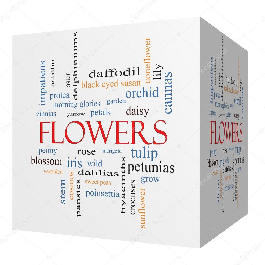 Flowers 3D cube Word Cloud Concept