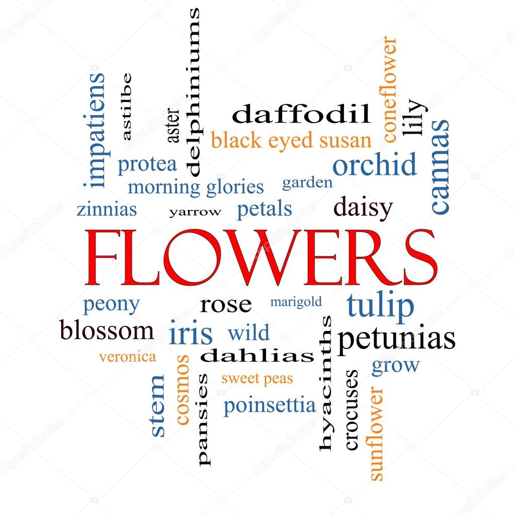 Flowers Word Cloud Concept