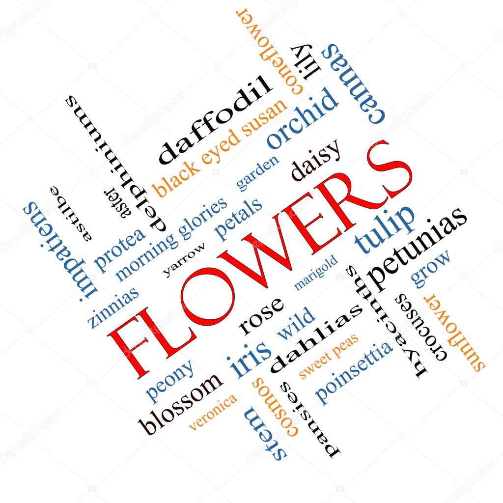 Flowers Word Cloud Concept Angled