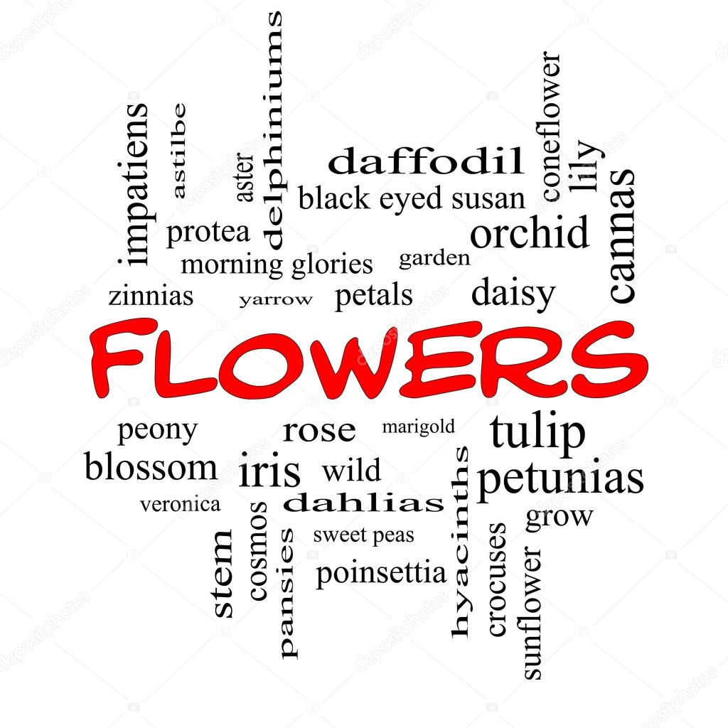 Flowers Word Cloud Concept in red caps