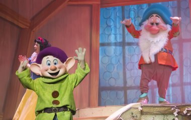 huysuz ve uyuşuk kar beyaz