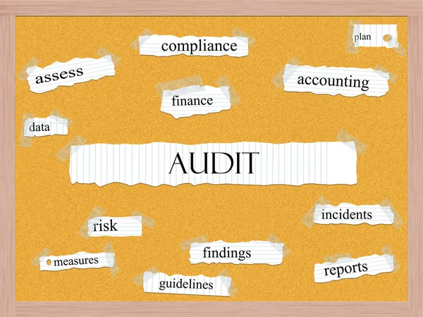 Audit Corkboard Word Concept — Stock Photo, Image