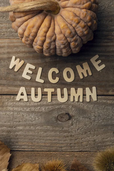 Vítejte Podzim Dřevěné Písmena Tvoří Text Vítejte Podzim — Stock fotografie