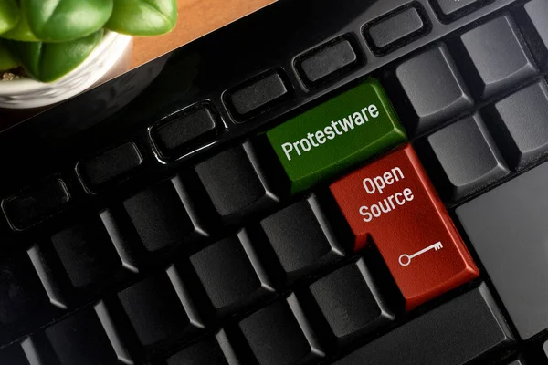 Protestware Open Source Touche Sur Clavier Protestware Est Quand Programmeur — Photo