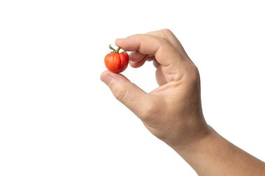 El parmaklarının arasında küçük bir domates tutuyor, beyaz arka planda izole edilmiş.