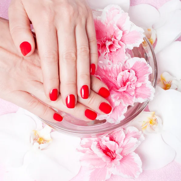Rote Maniküre mit Blumen — Stockfoto