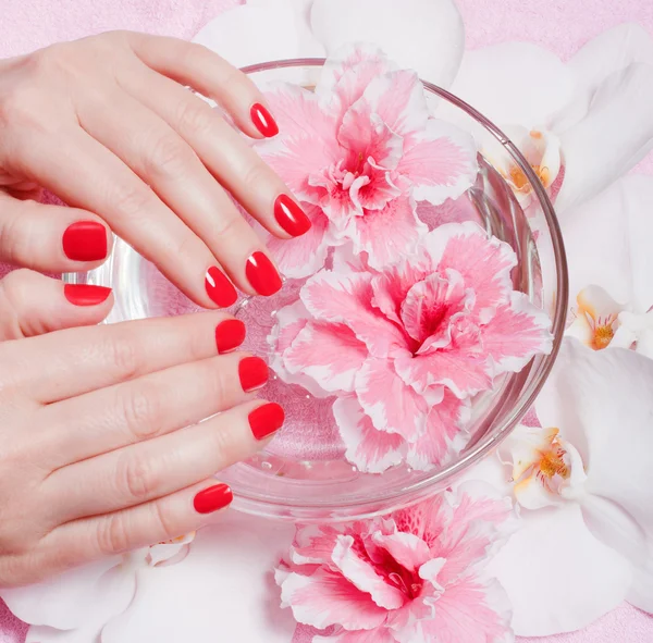 Rode manicure met bloemen — Stockfoto