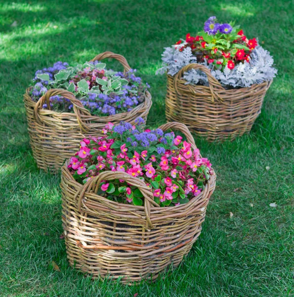 Schöne Blumenkörbe in der Gartenlandschaft — Stockfoto