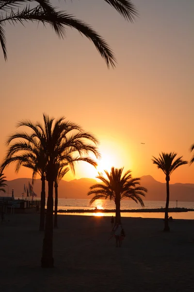 Sunset over the beach. — Stock Photo, Image