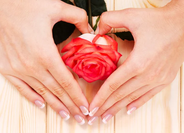 Manicura francesa y rosa roja — Foto de Stock