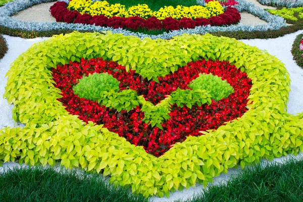Flowers in the shape of a heart. — Stock Photo, Image