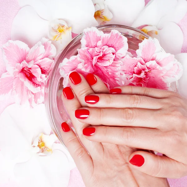 Red manicure with flowers — Stock Photo, Image