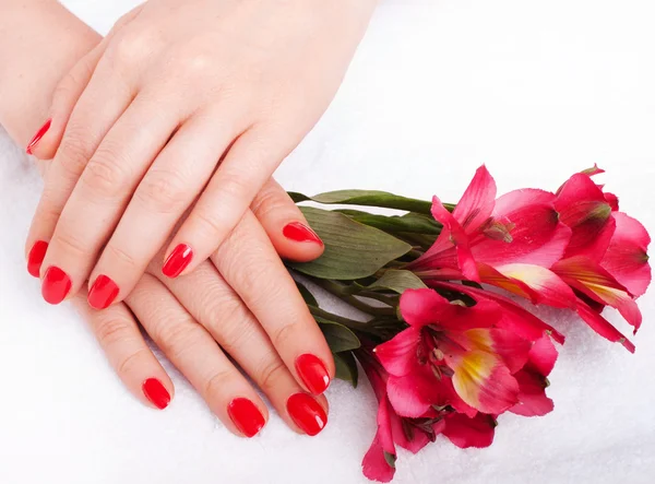 Imagen de cerca de manicura roja con flores —  Fotos de Stock