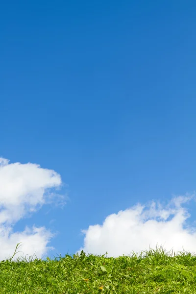 Beau fond, herbe verte et ciel bleu — Photo