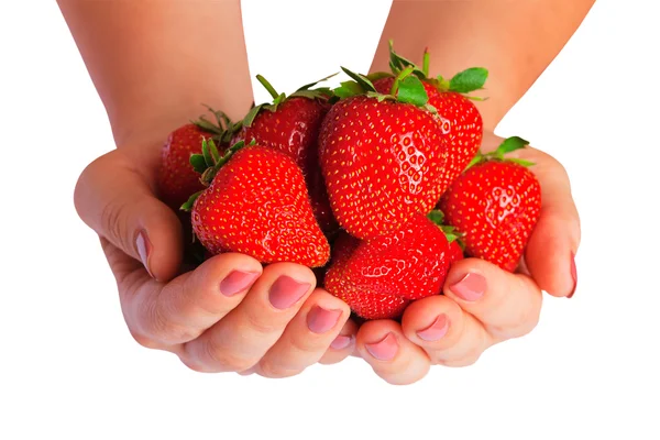 Bella fragola in mani femminili — Foto Stock