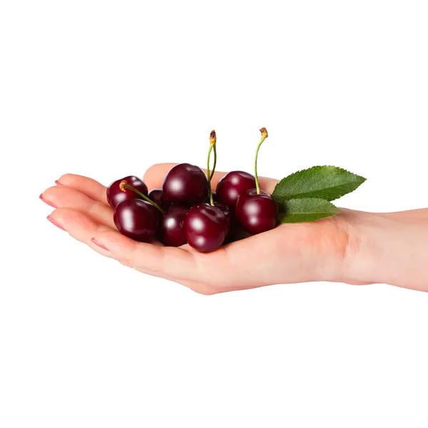 Cerezas dulces perfectas aisladas — Foto de Stock