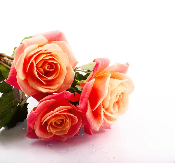 Beautiful bouquet of roses — Stock Photo, Image