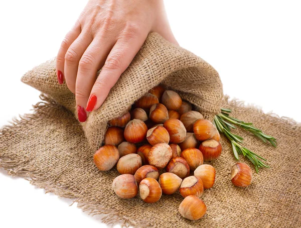 Hazelnuts, filbert on old wooden background — Stock Photo, Image