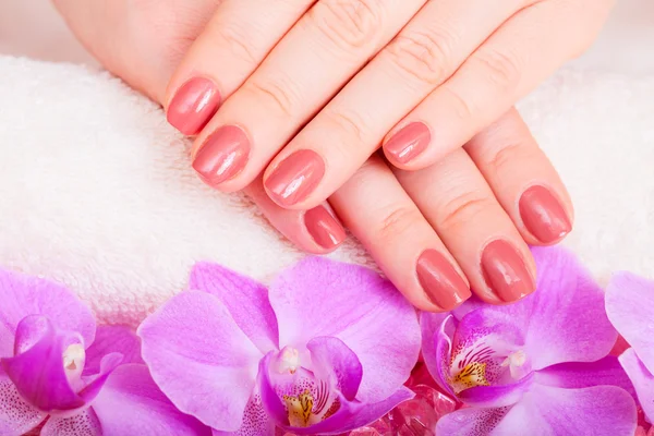 Manicure i pedicure — Zdjęcie stockowe