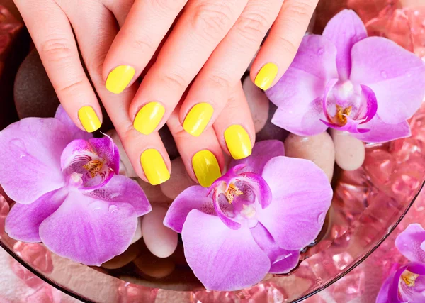 Manicure and pedicure — Stock Photo, Image