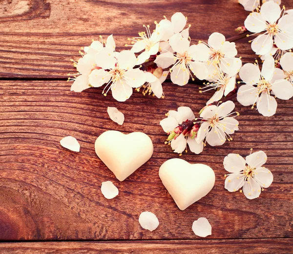 Flowering branch with white delicate flowers on wooden surface — Stock Photo, Image