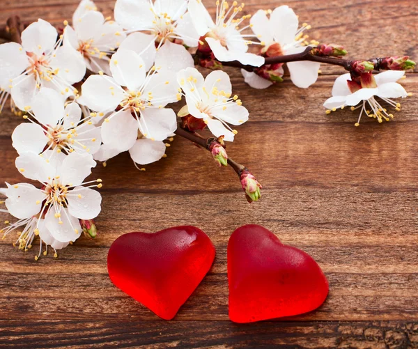 Flowering branch with white delicate flowers on wooden surface — Stock Photo, Image