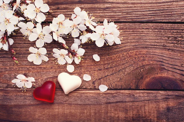 Anillos de boda. Rama floreciente flores sobre superficie de madera . — Foto de Stock