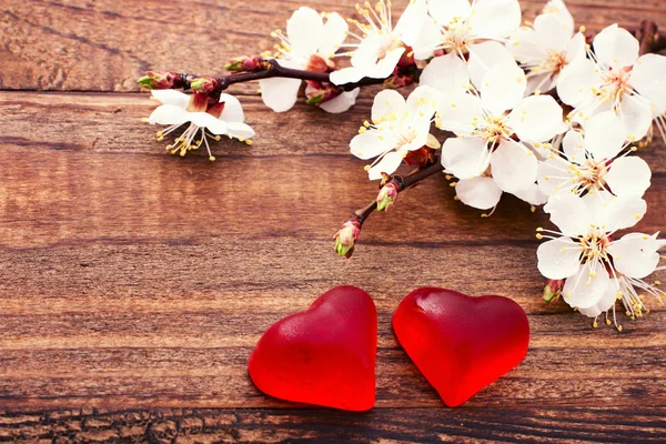 Bloeiende tak met witte delicate bloemen op houten oppervlak — Stockfoto