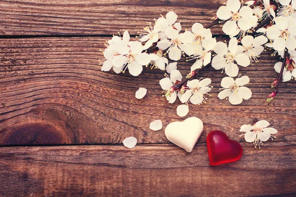 Flowering branch with white delicate flowers on wooden surface — Stock Photo, Image