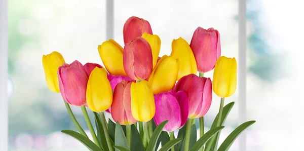 Różne piękne tulipany bukiet na tle okna. — Zdjęcie stockowe