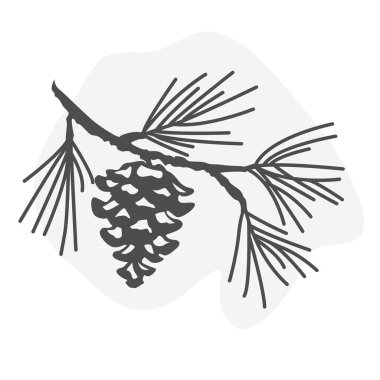 pine tree branch vector sketch illustration