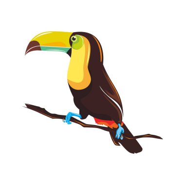 TROPICAL AND EXOTIC BIRD ILLUSTRATION WITH ELEGANT STYLE