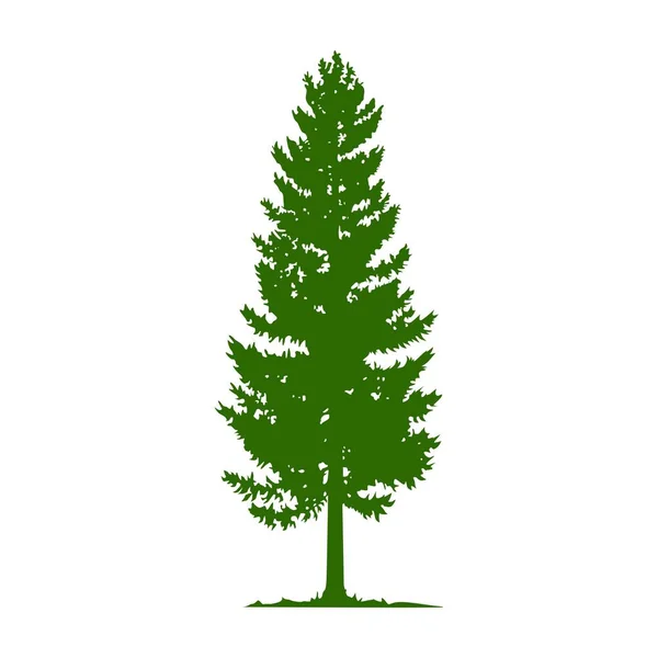 Spruce tree vector icon with simple and elegant style