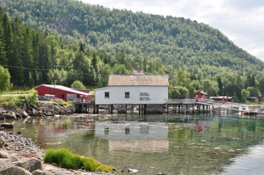 tipik İskandinav evi