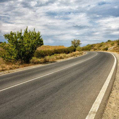 vahşi yol