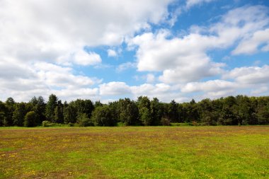 doğa manzara - bahar