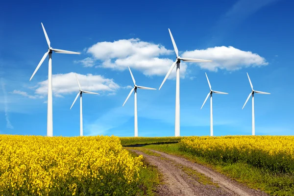 Windmils