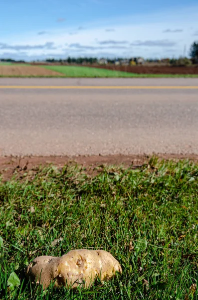 Patates israfı yol kenarında Truc 'tan düşmüş.