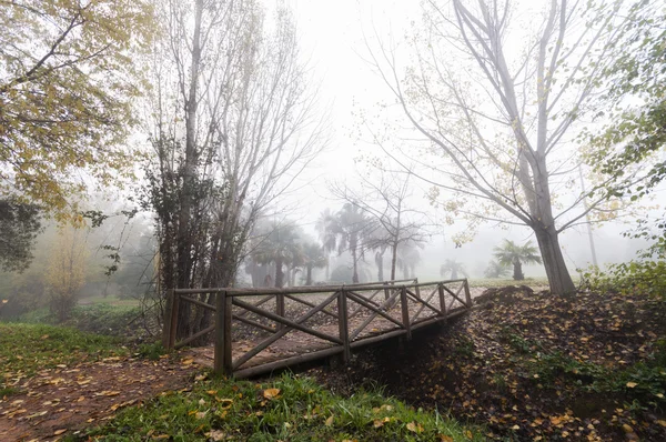 Wooden Bridge in Autumn — Stock Photo, Image