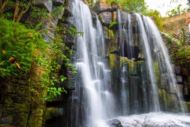 Orman manzaralı şelalede