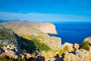 Deniz kıyısının güzel manzarası